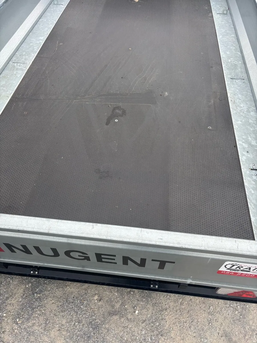 Nugent 10 x 6 - Image 4