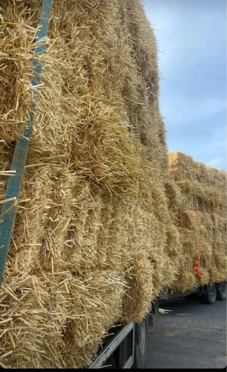 Hay and Straw - Image 1
