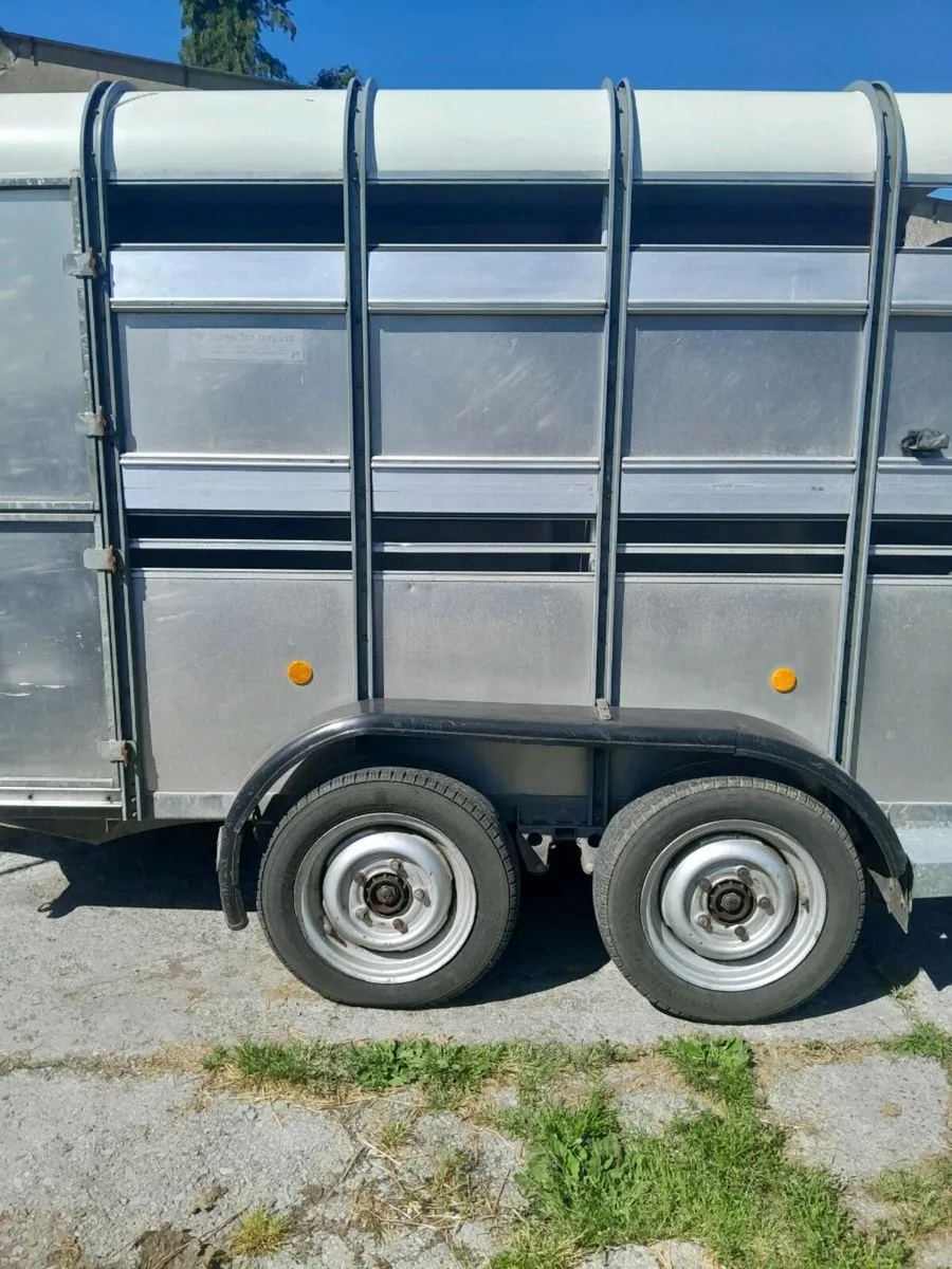 For  sale  ten buy five  for williams - Image 1