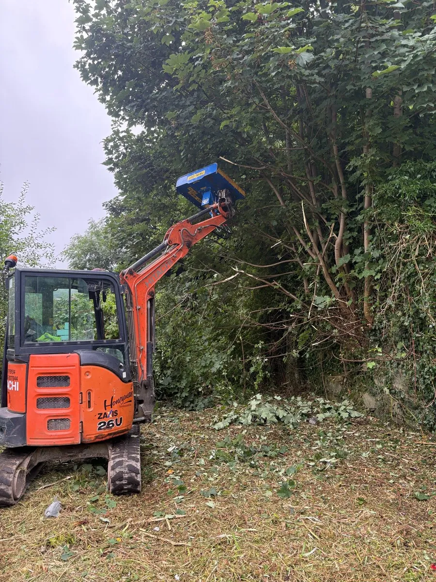 Digger hire - Image 2