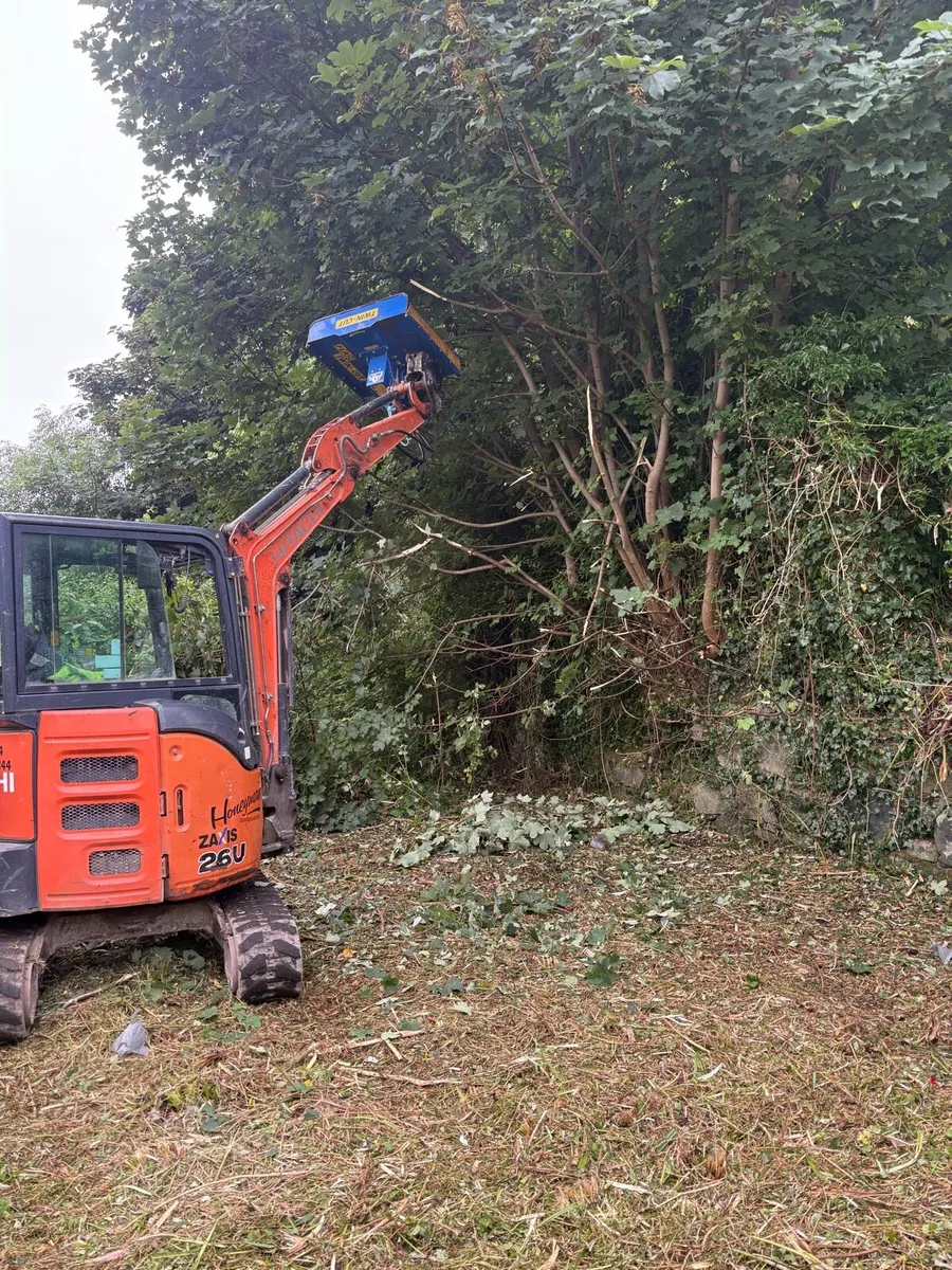 Digger hire - Image 3