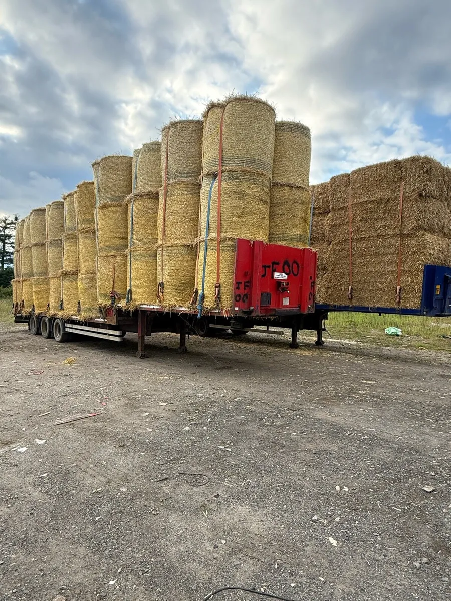 Round bales of spring and winter barley straw - Image 2