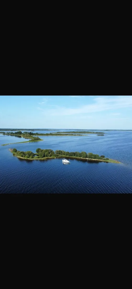 Pedro Aspre 36 For Sale - Image 2