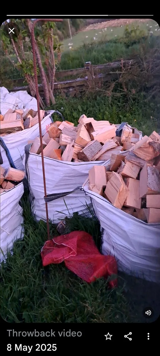 FIREWOOD - Image 2