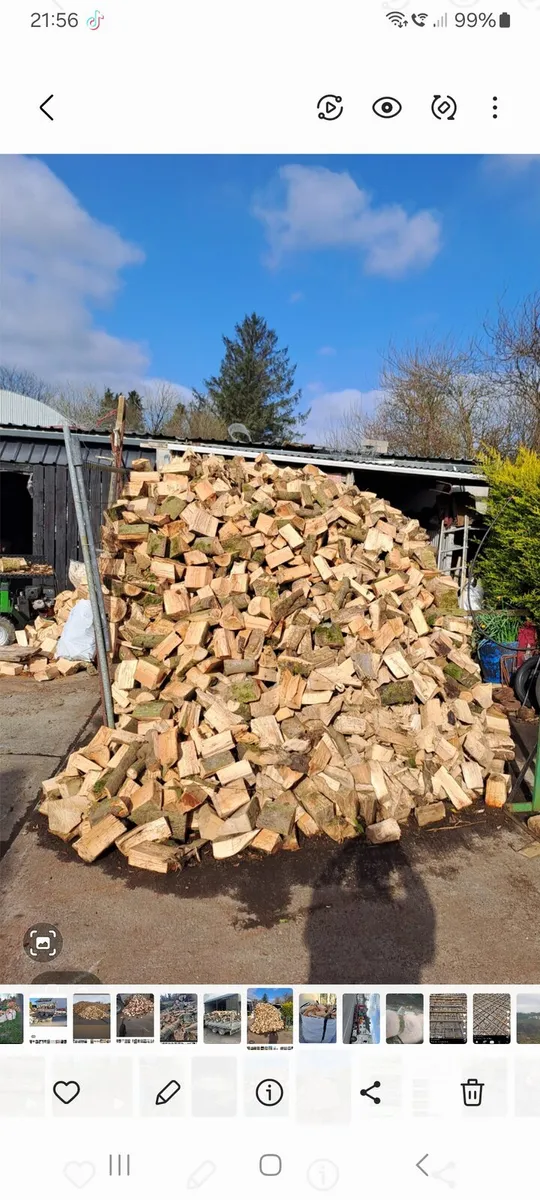 FIREWOOD - Image 4