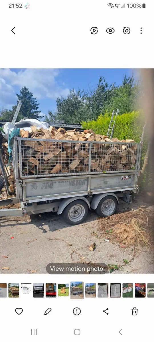FIREWOOD - Image 3
