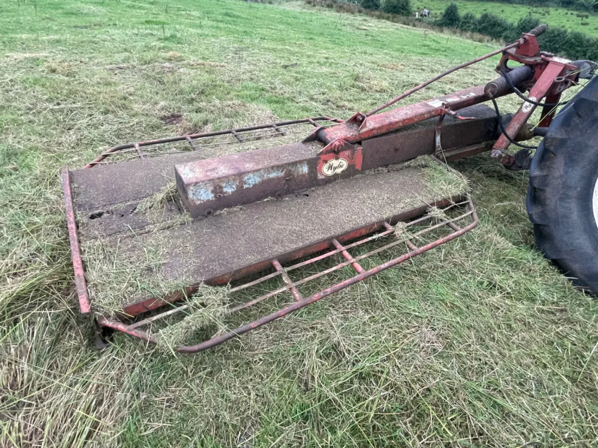 Wylie 8ft topper - Image 3