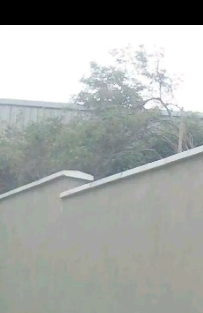 Plasterer available - Image 4