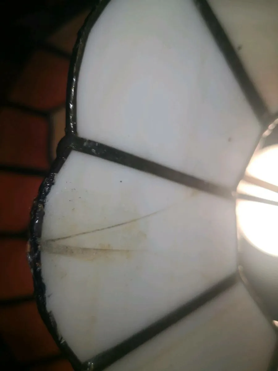 Exceptional brass and wood floor lamp canon shell - Image 3