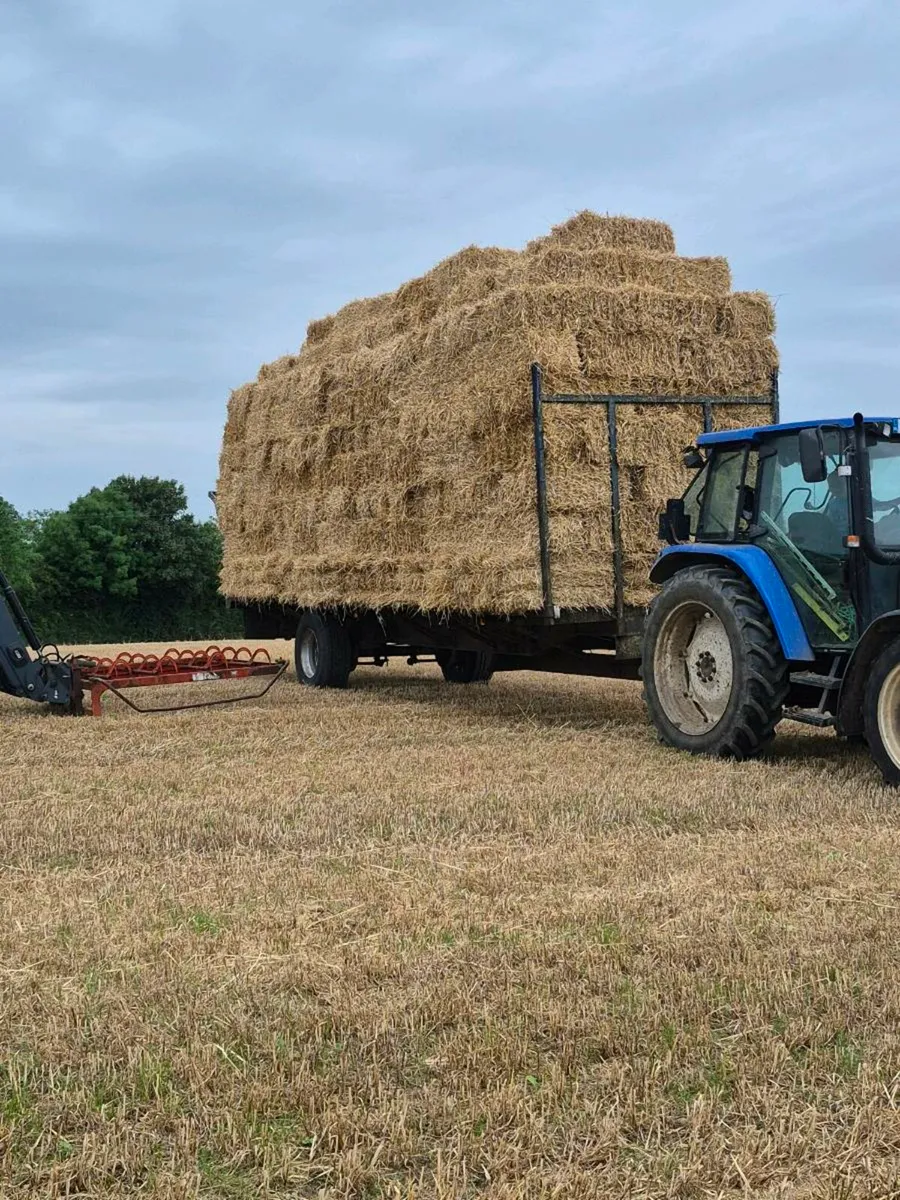 Small square bales of hay and straw - Image 1