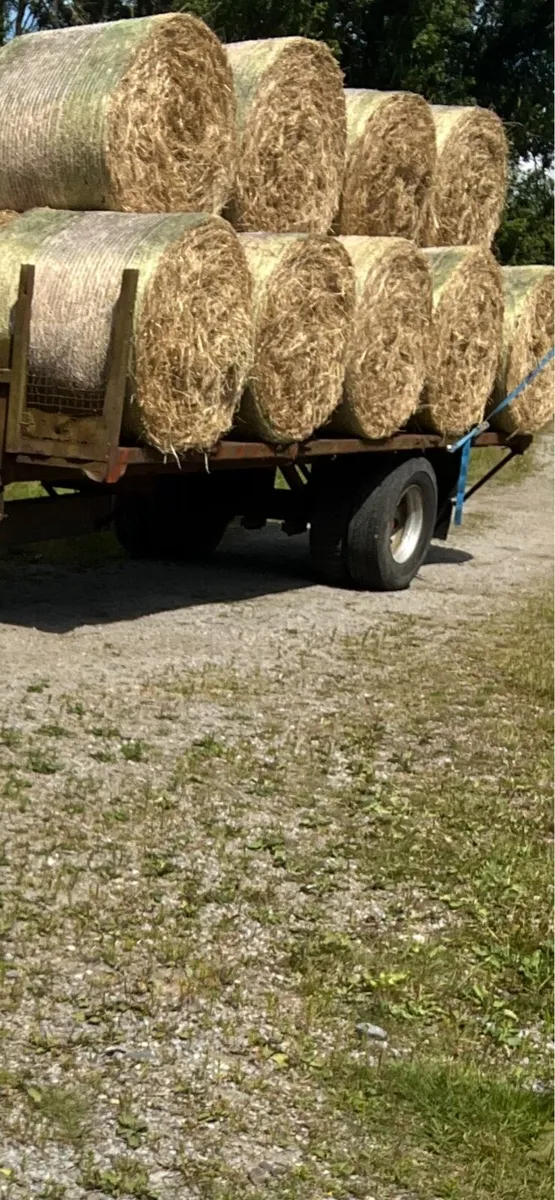 Round bales of Hay - Image 2