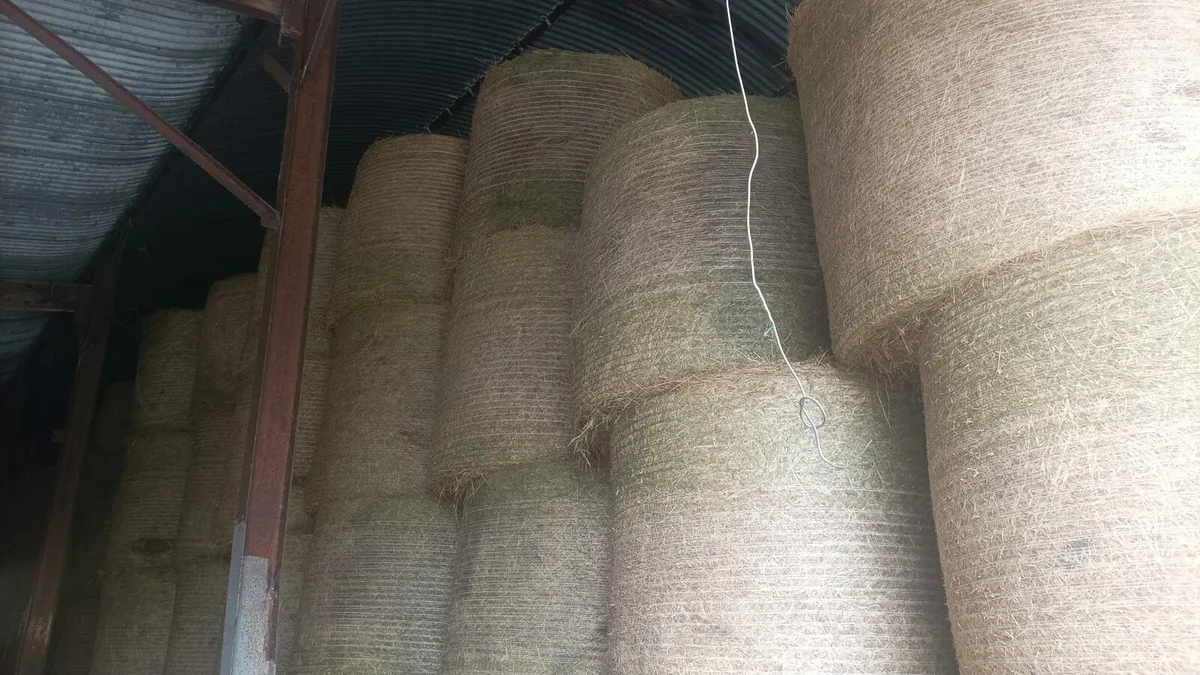 Hay for sale - Image 1
