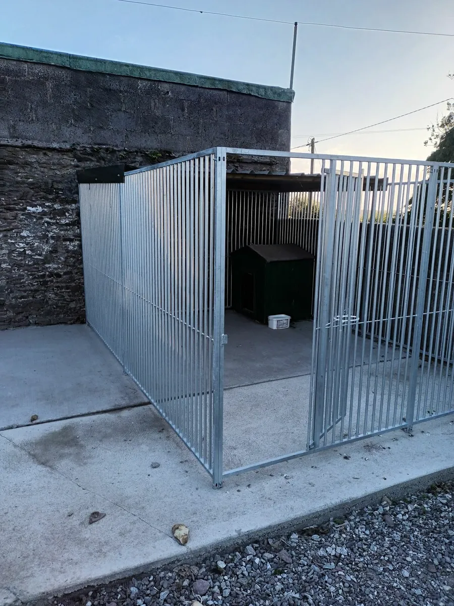Dog run - Image 4