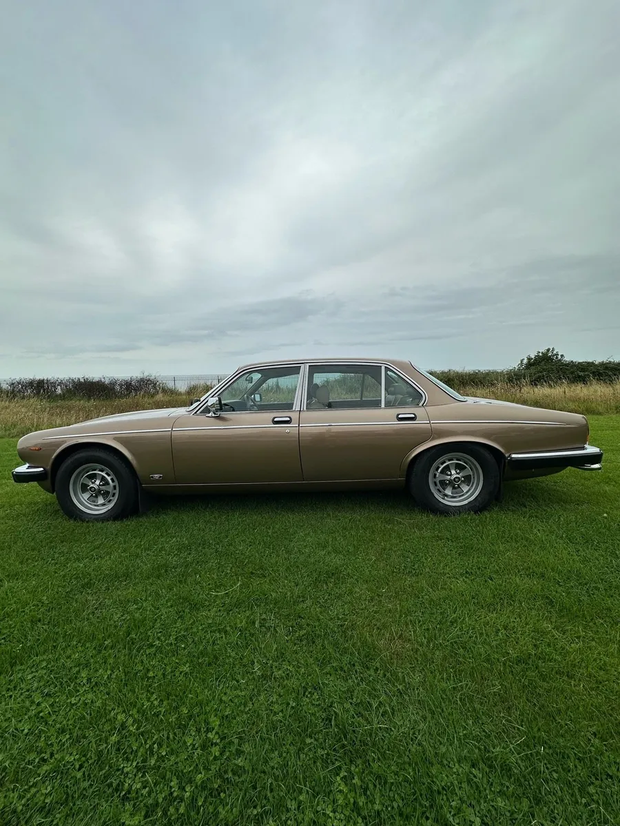 1988 Daimler Double Six - Image 4