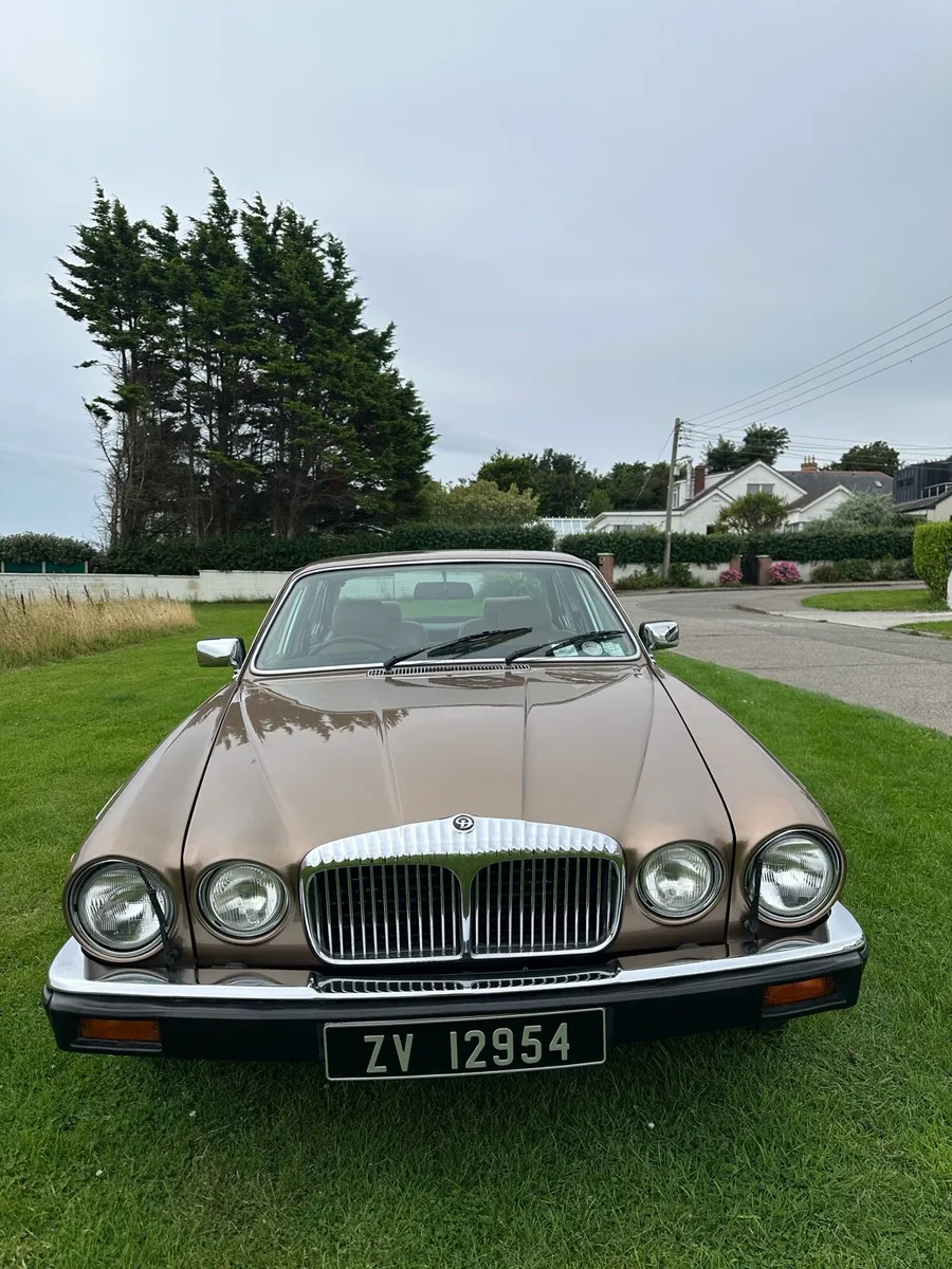 1988 Daimler Double Six - Image 2