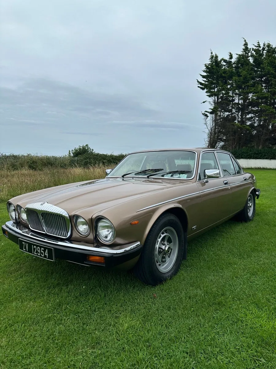 1988 Daimler Double Six - Image 3