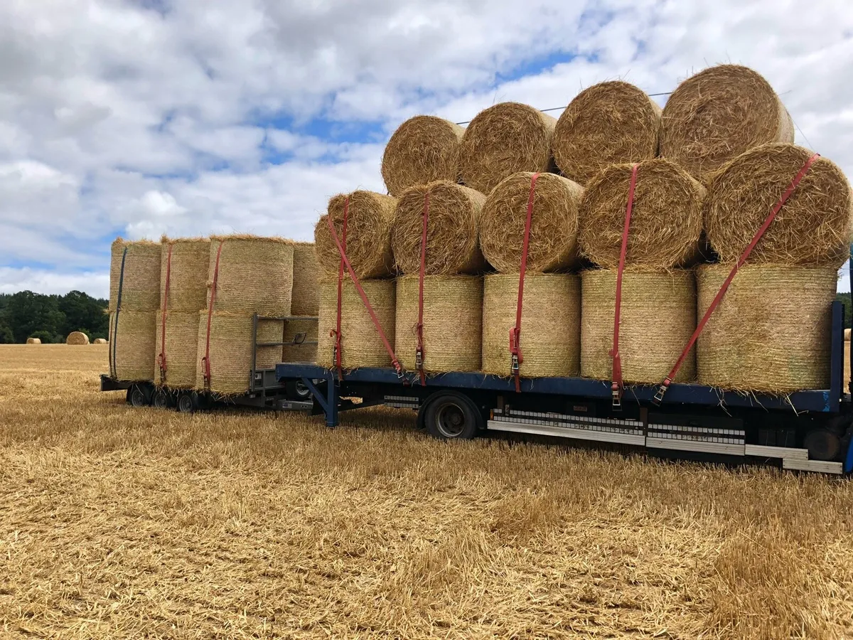 Straw Delivered - Image 2