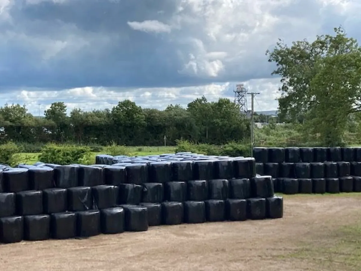 Hay & Haylage - Image 2