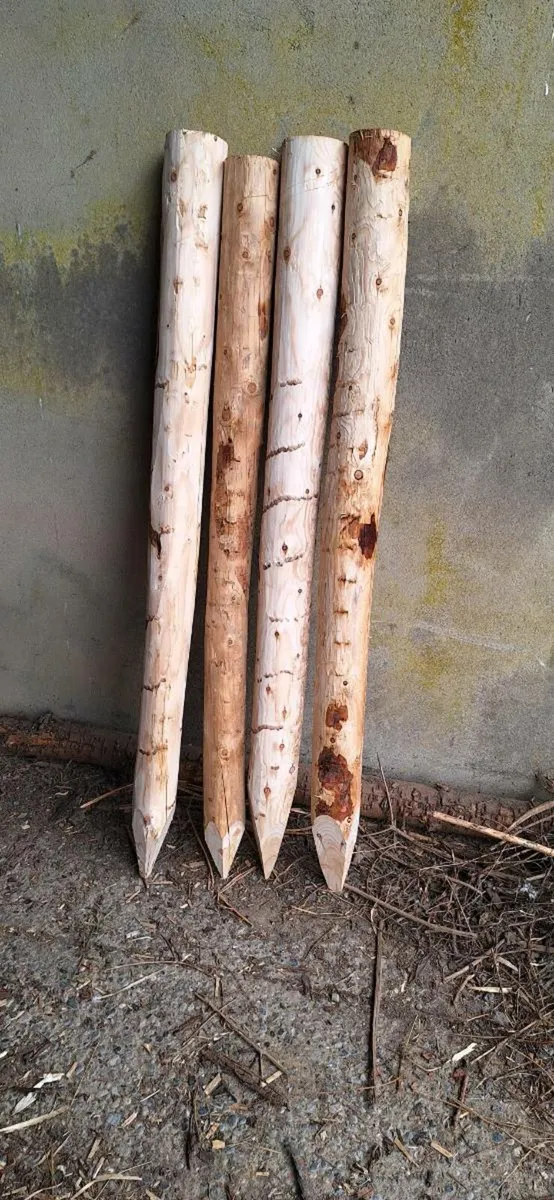 Cheap Organic Larch stakes/fence posts - Image 2