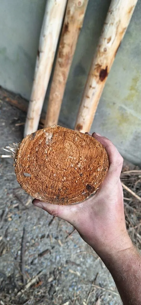 Cheap Organic Larch stakes/fence posts - Image 3