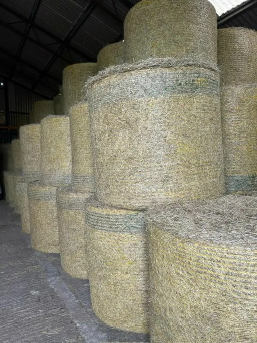 Hay & Haylage - Image 4