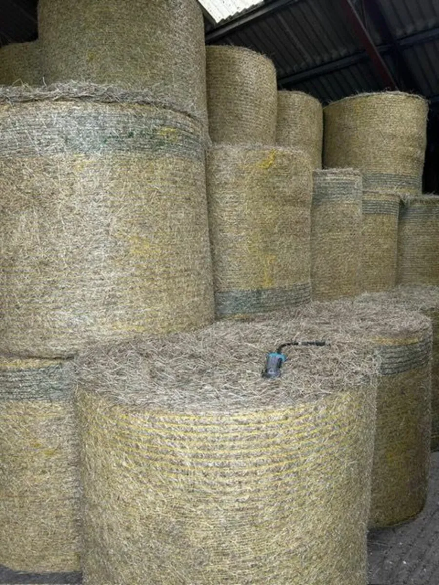 Hay & Haylage - Image 3