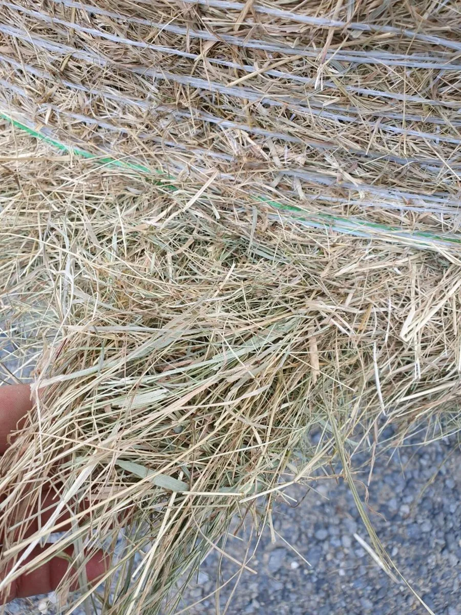 Straw and hay - Image 4