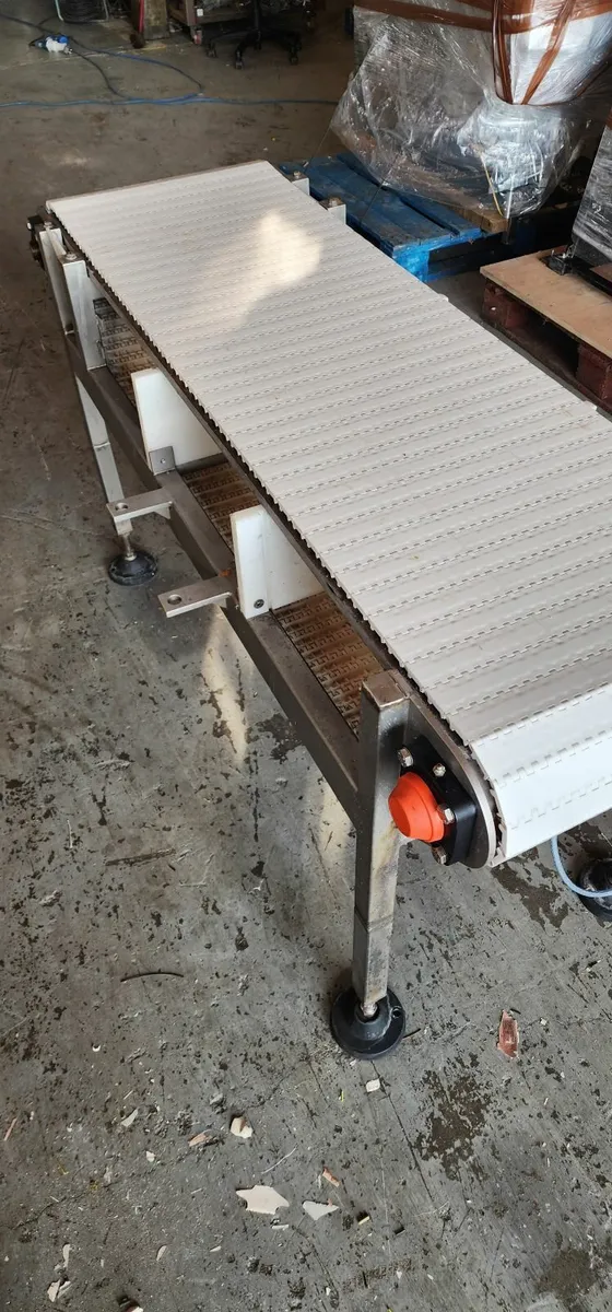 Stainless Steel Conveyor with Modular Belt - Image 1
