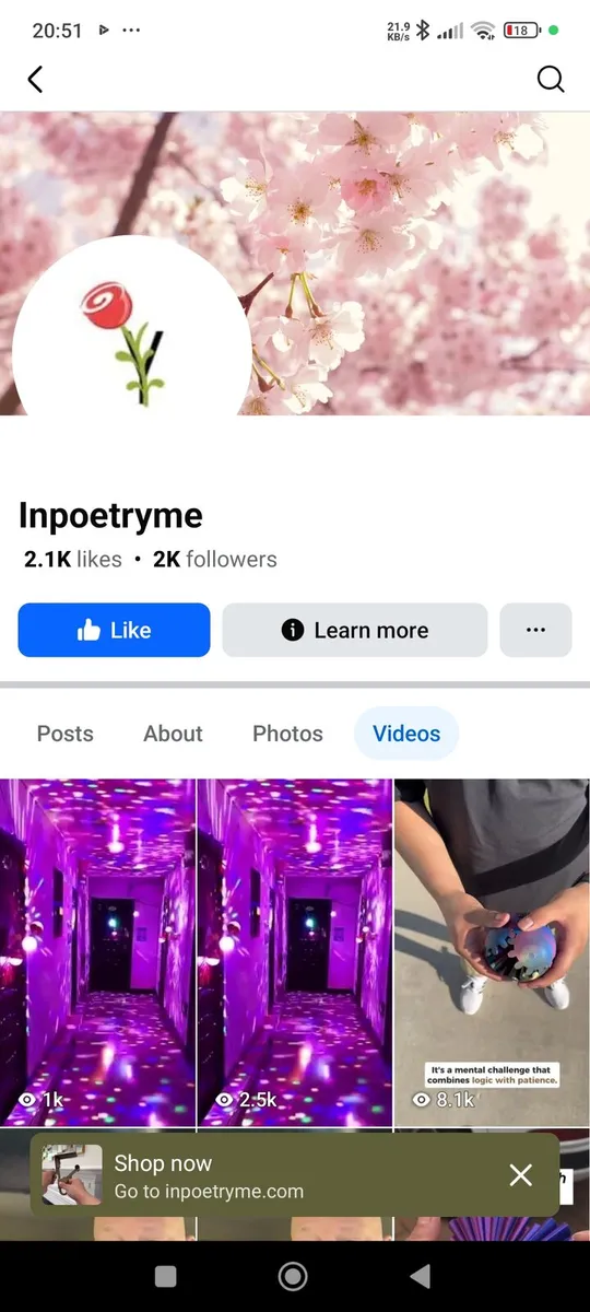 Antique glass display cabinet - Image 2