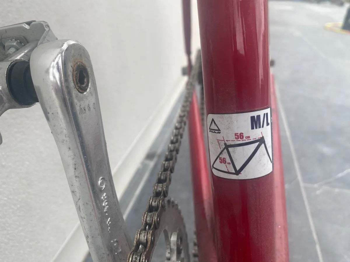 Fuji Feather Single-Speed Bike (M/L Frame) - Image 1