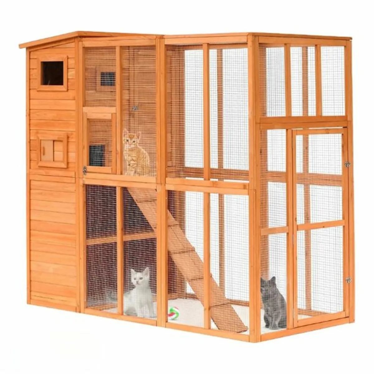 The Cat Camp - Free Delivery - Image 1