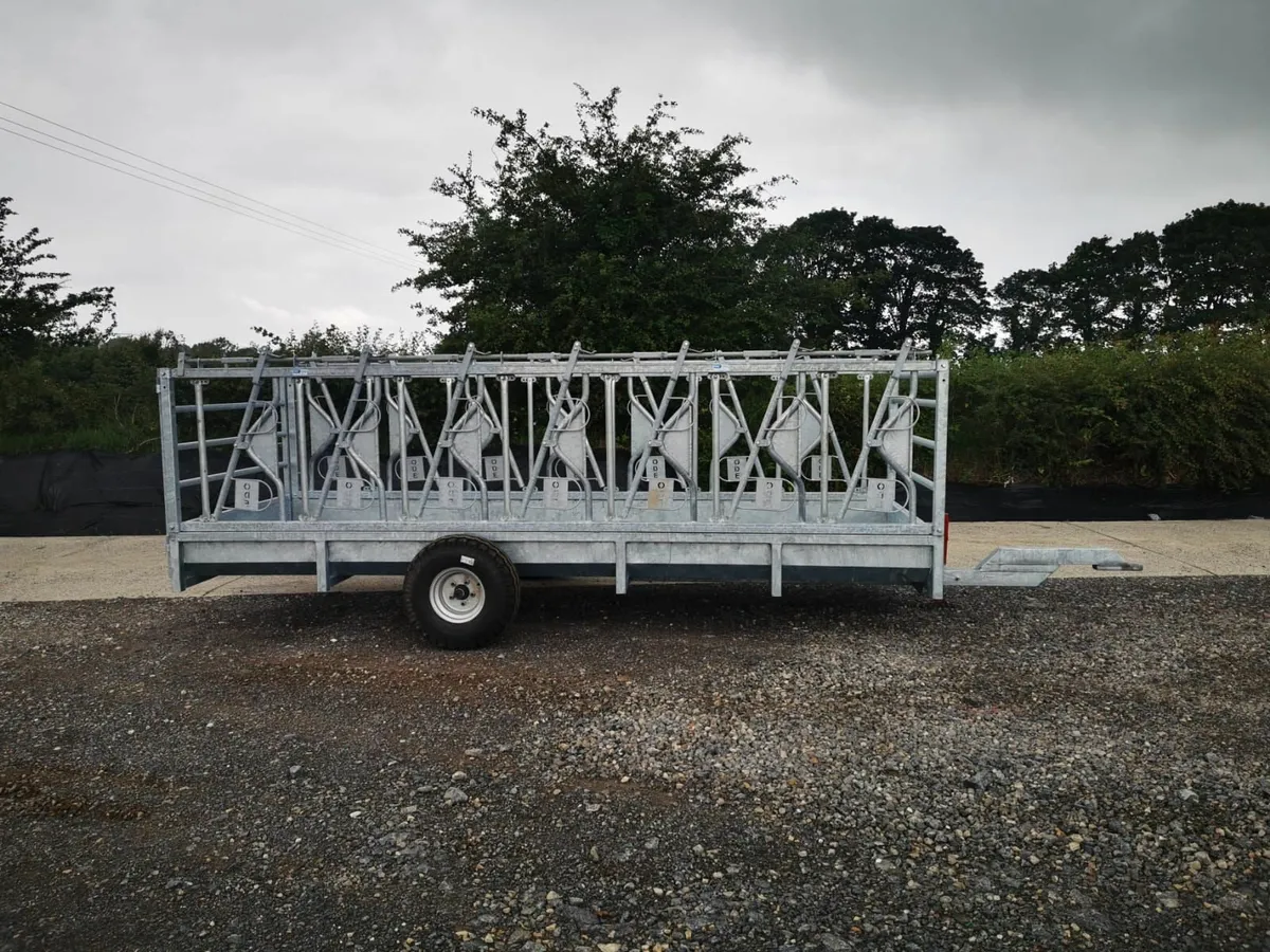 Feed Trailer (Diag & Self Lock) - Image 4