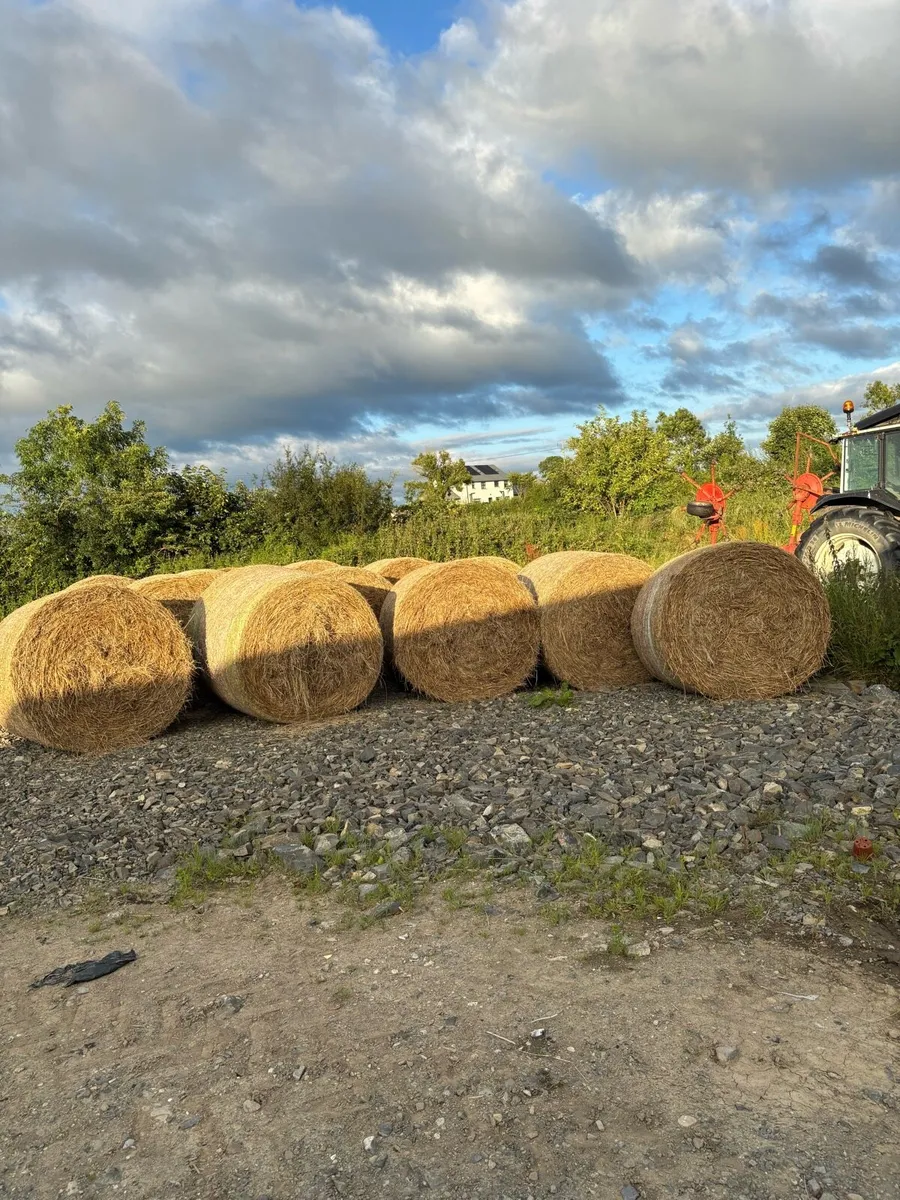 straw & silage - Image 3