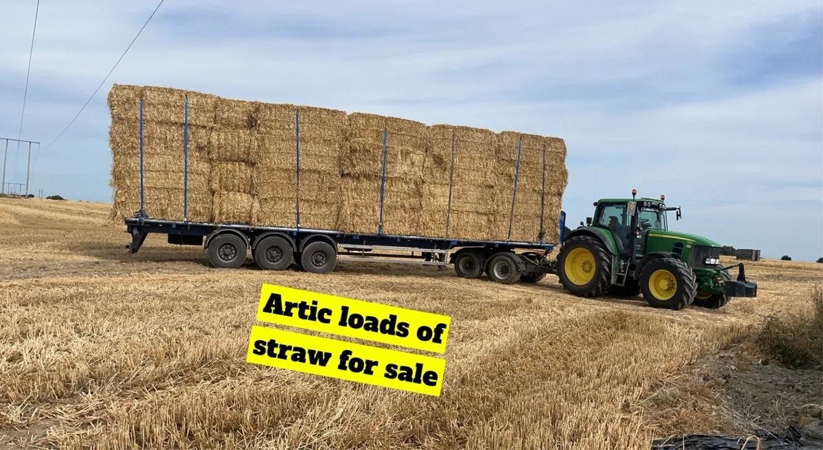 straw & silage - Image 1