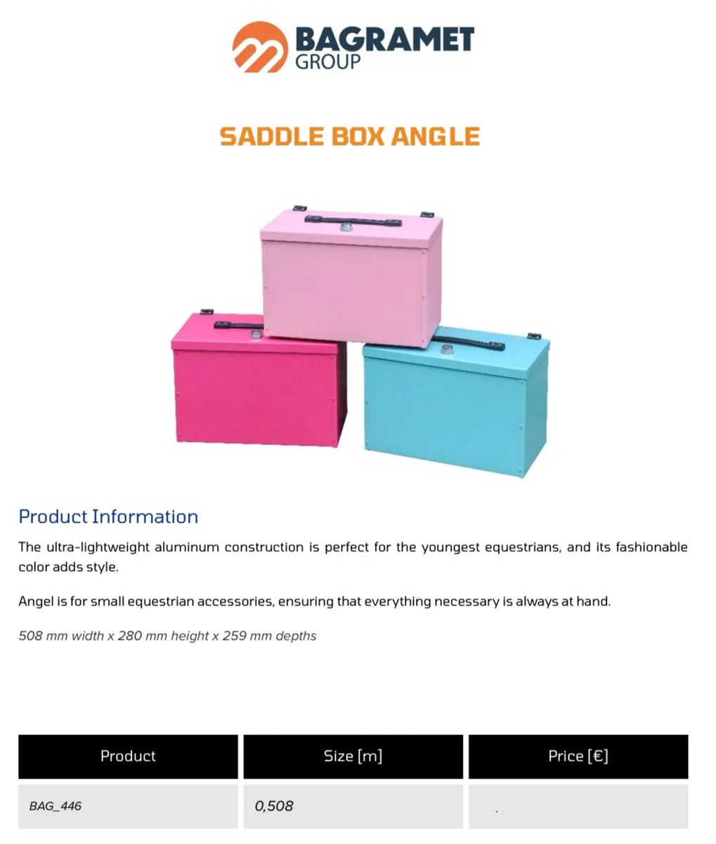 Saddle boxes - Image 3