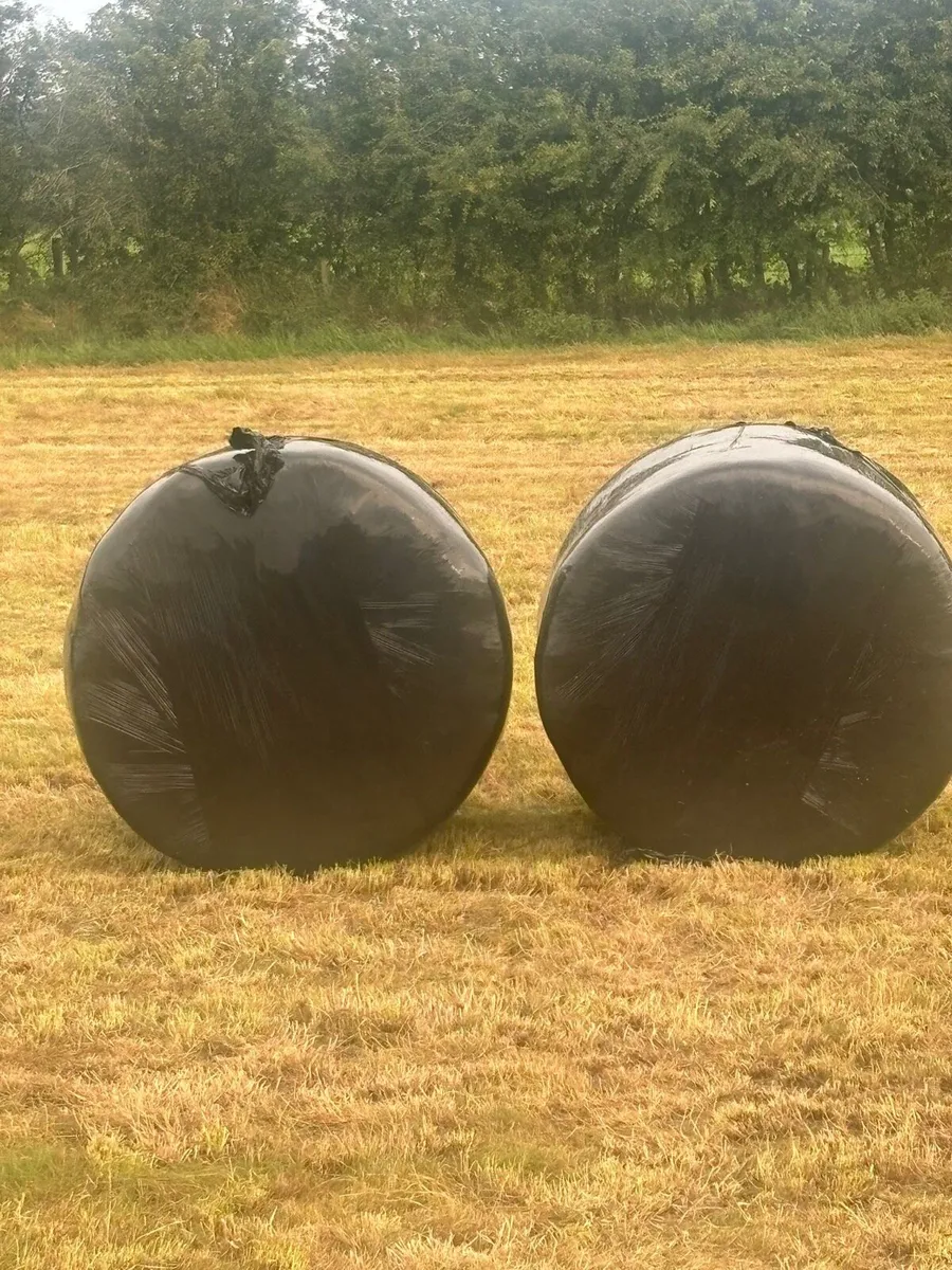 Bales of silage & haylage