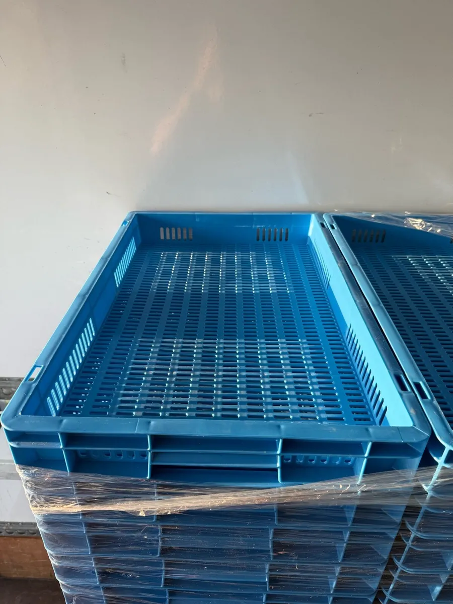 Plastic 40x60 trays - Image 2