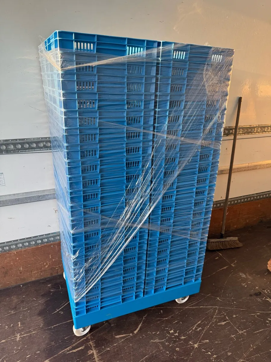 Plastic 40x60 trays - Image 1