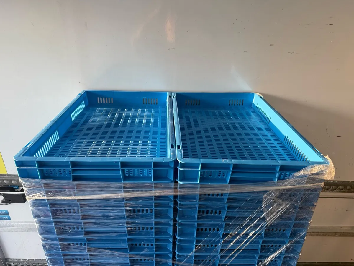 Plastic 40x60 trays - Image 3