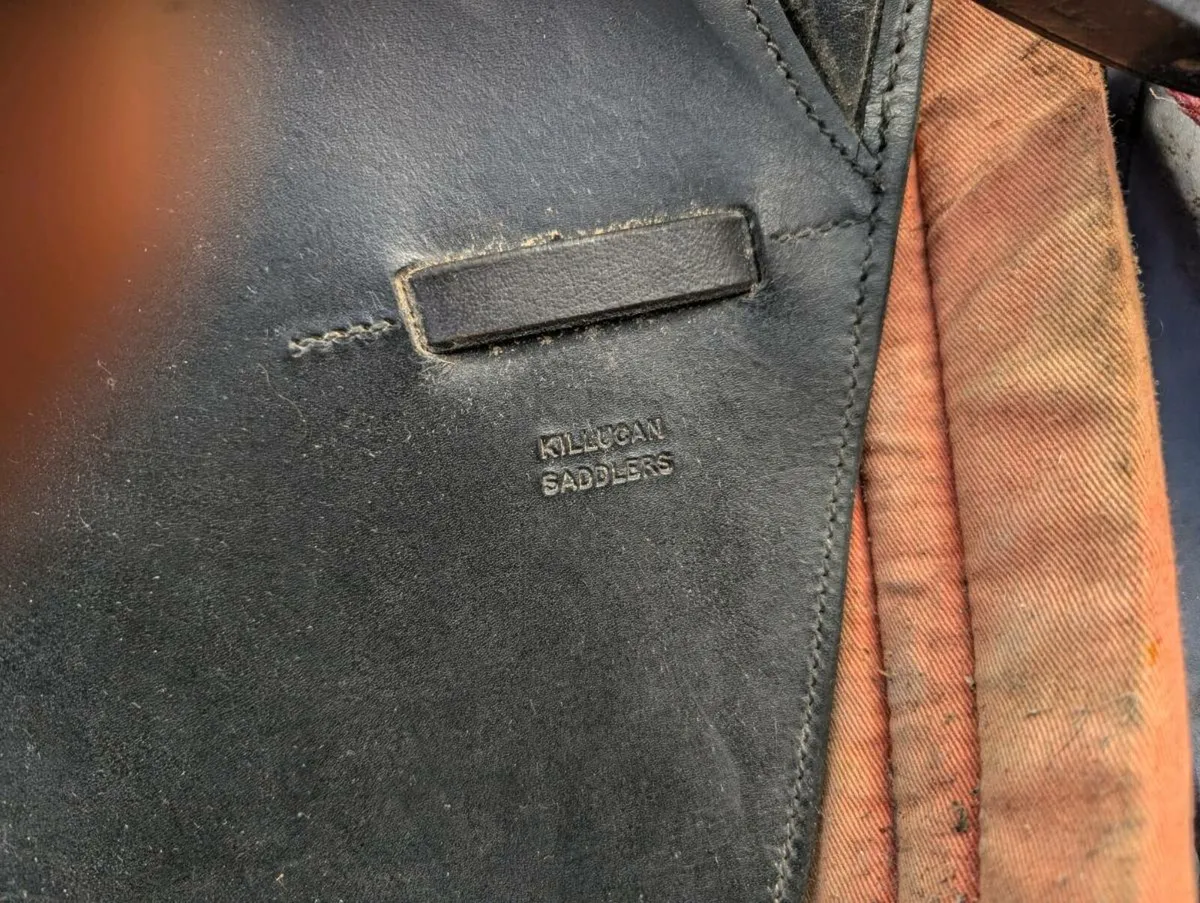 16" Saddle - Image 2