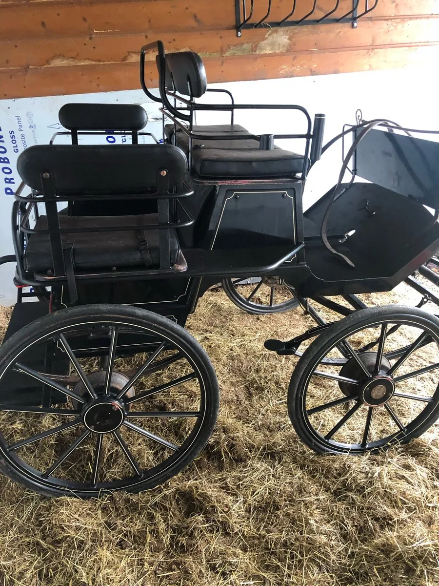 Horse drawn carriage - Image 1