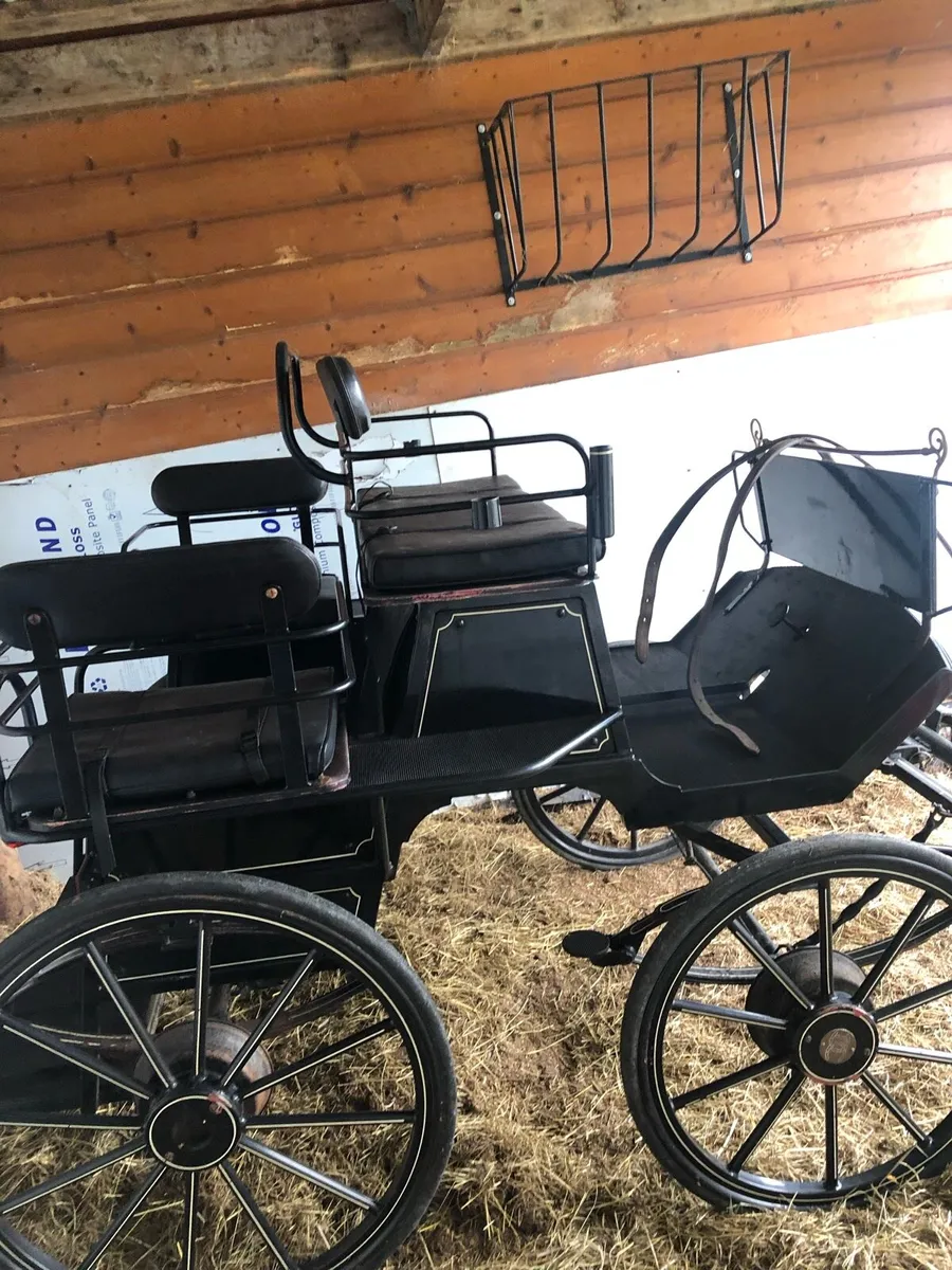 Horse drawn carriage - Image 2