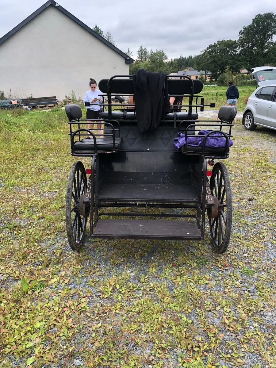 Horse drawn carriage - Image 3