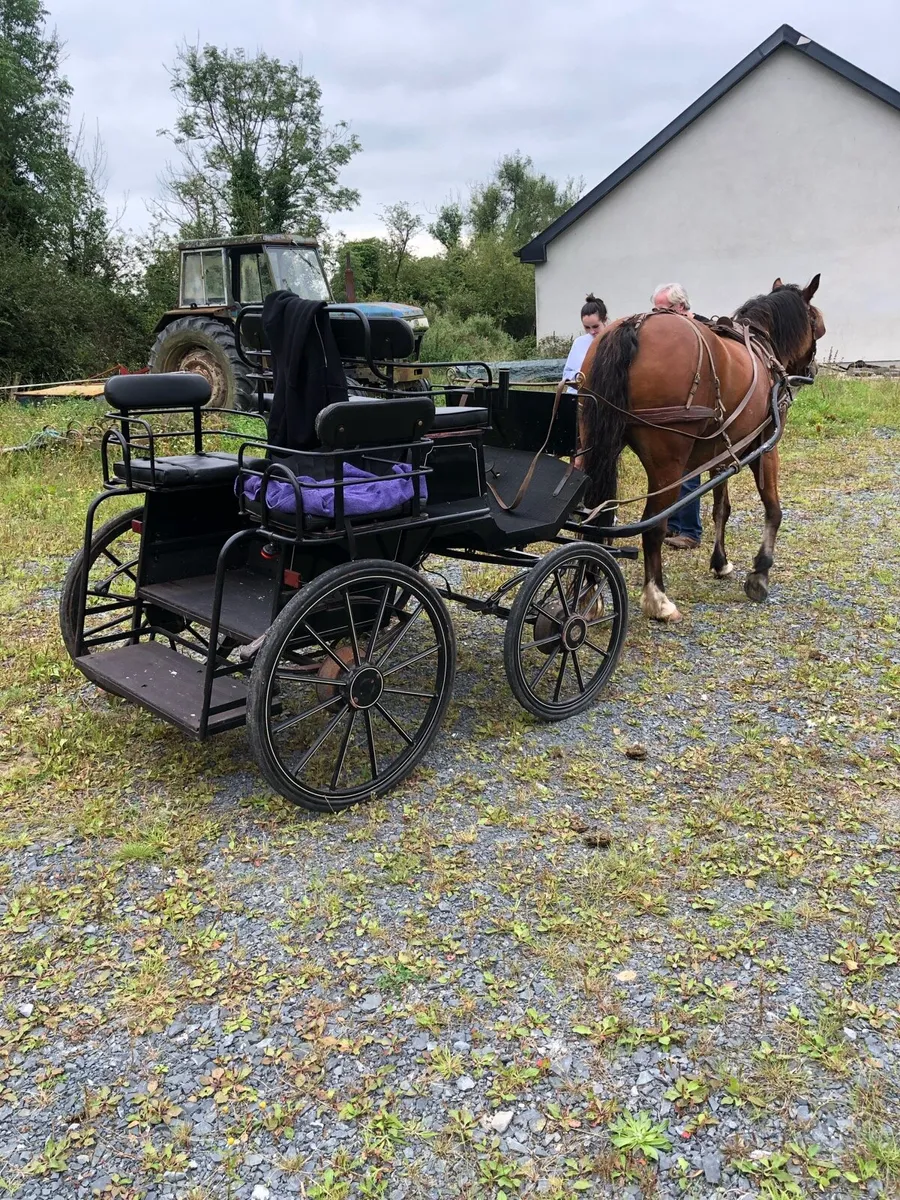 Horse drawn carriage - Image 4
