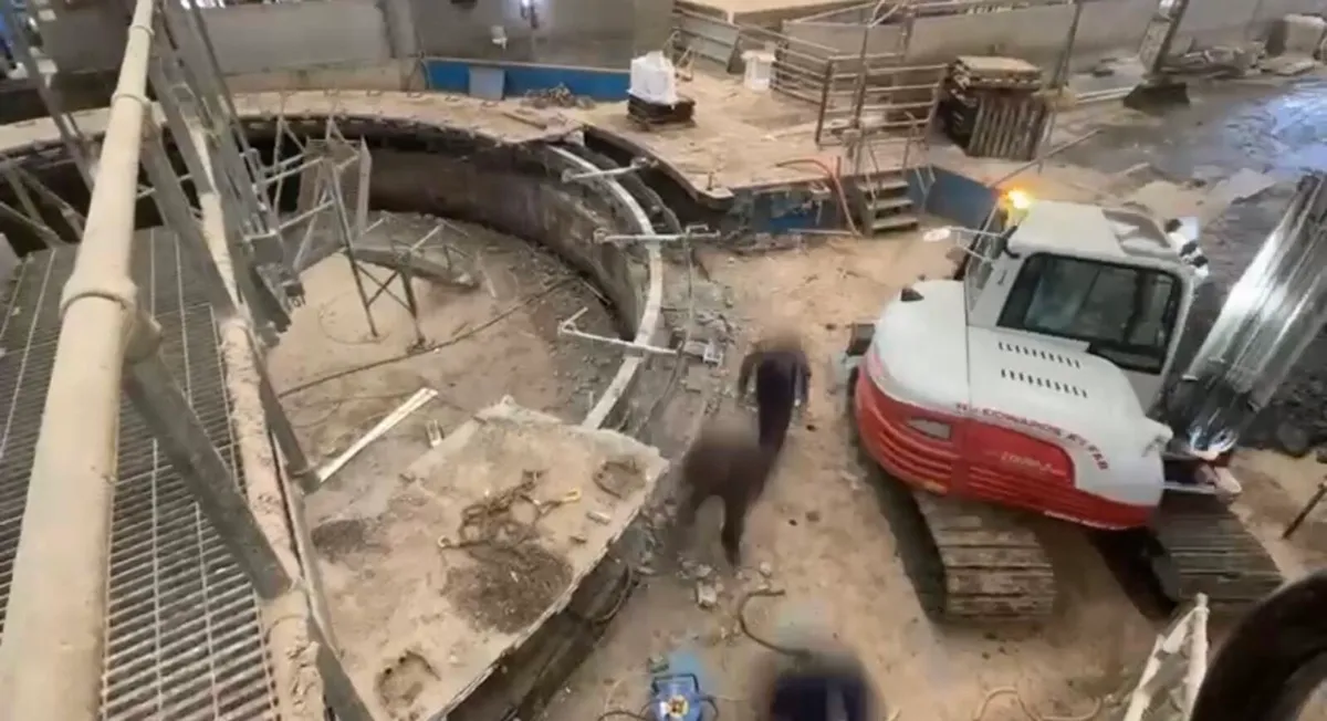 50 Stall Blom rotary under carriage - Image 2