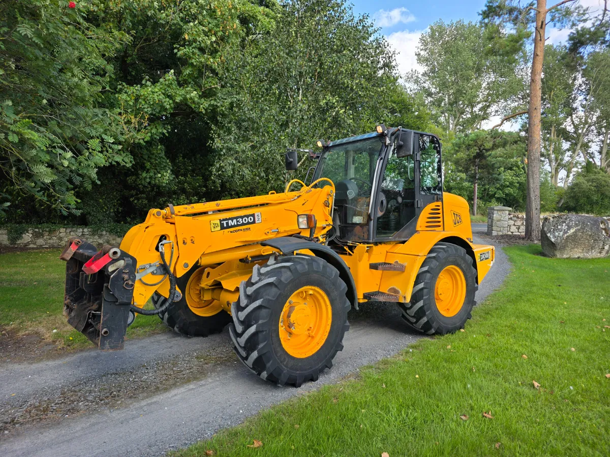 Jcb tm 300.        2007 - Image 2