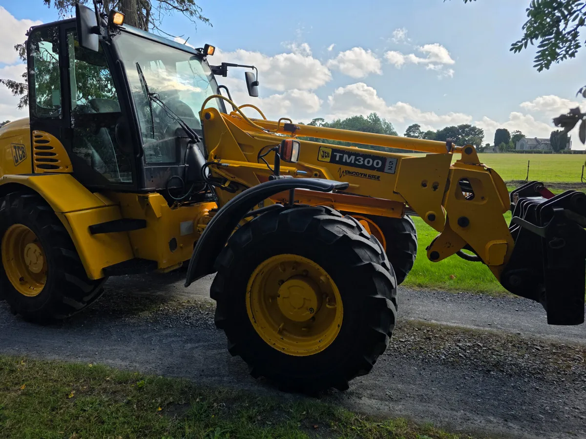 Jcb tm 300.        2007 - Image 3
