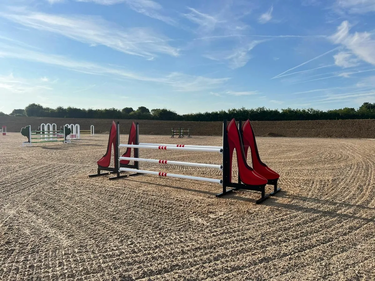 Largest selections of Show Jumps and accessaries - Image 2