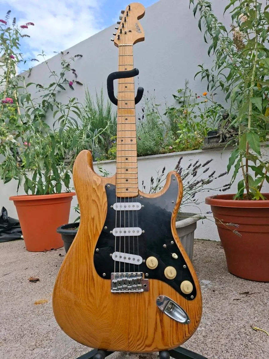 1977 Antoria (Ibanez) Strat Fujigen Japan - Image 1