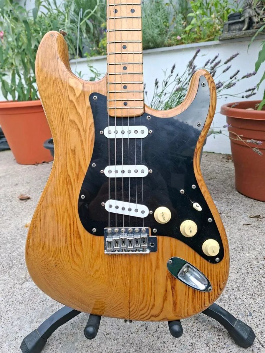 1977 Antoria (Ibanez) Strat Fujigen Japan - Image 2
